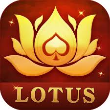 teen patti union download download
